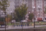 В Череповце продолжаются работы по озеленению "Парка здоровья" на улице Годовикова
