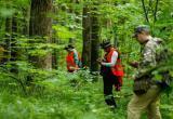 В лесах под Грязовцем найдено тело 70-летнего пенсионера