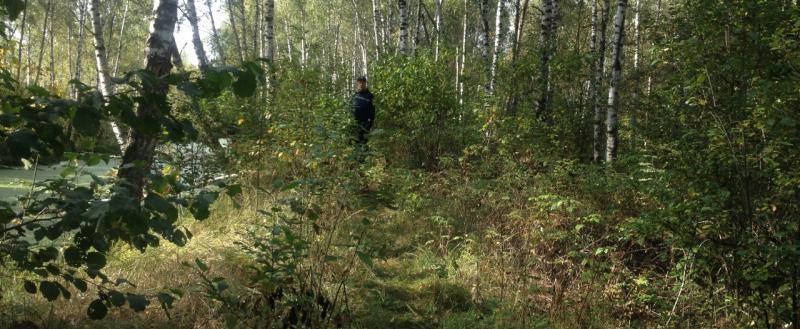 В Вологодской области мужчина ушел в лес и не вернулся