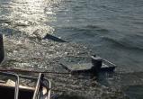 Молодой житель Вологодской области выпал из лодки и утонул