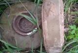В Вологодской области в лесу нашли противотанковые мины