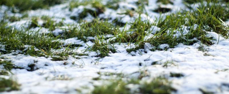 Жителей Вологодской области предупредили о мокром снеге, дожде и заморозках