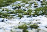 Жителей Вологодской области предупредили о мокром снеге, дожде и заморозках
