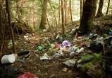 Экоактивисты призывают принять участие в уборке череповецкиз лесов