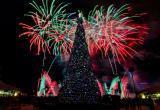 Три четверти россиян готовы отказаться от праздничных мероприятий на Новый год