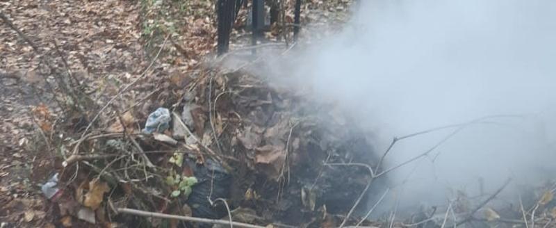 Череповецким пожарным пришлось тушить возгорание на первом городском кладбище