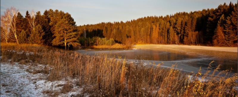 Жителям Вологодской области пообещали переменчивую погоду на ближайшей неделе