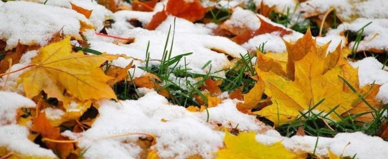 Снег, дождь и похолодание ожидаются на неделе в Череповце