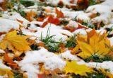 Снег, дождь и похолодание ожидаются на неделе в Череповце
