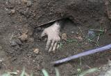 В Череповце на дачных причалах нашли человеческие останки