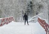 Череповецким любителям лыж рассказали о подготовке трасс к новому сезону