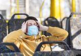 В России может начаться эпидемия свиного гриппа