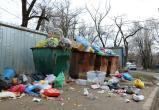 Россиян предупредили о грядущем мусорном коллапсе