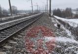 Стали известны подробности жуткой трагедии на железной дороге в Шекснинском районе