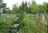После визита на кладбище главный санитарный врач Череповецкого района подал в суд на местных чиновников