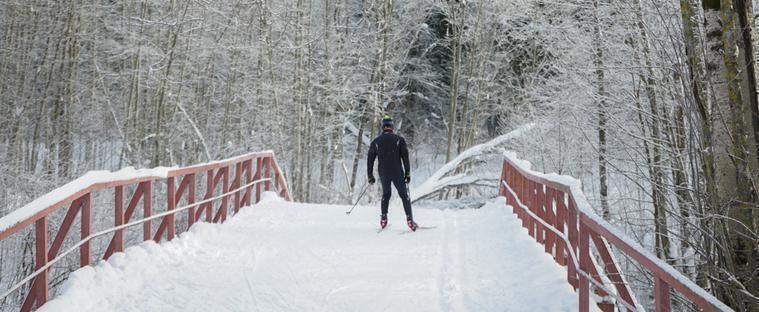 От катания на лыжах до купания в проруби: как лучше всего провести новогодние каникулы в Череповце?