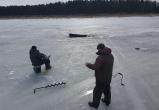 Под Череповцом на Рыбинском водохранилище утонул снегоход 