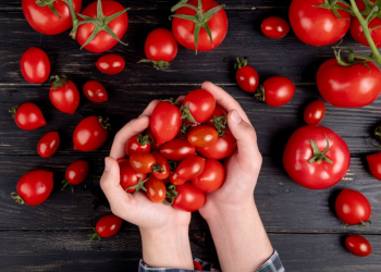 Секреты крепкой рассады томатов: урожай всем на зависть!