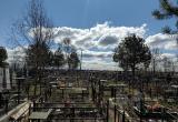 Череповецкая мистика: на кладбищенских воров свалились несчастья после разграбления могил 