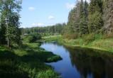 В Вологодской области на слиянии рек Лоста и Лежа исчез 33-летний рыбак