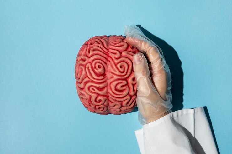 Диетолог Круглова перечислила продукты, улучшающие когнитивные способности