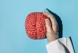 Диетолог Круглова перечислила продукты, улучшающие когнитивные способности