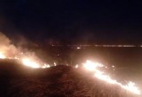 Фото: Противопожарная служба Вологодской области 