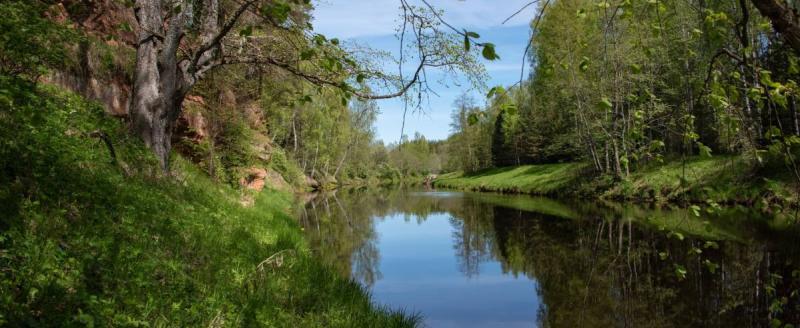 Официальный сайт Правительства Вологодской области: vologda-oblast.ru