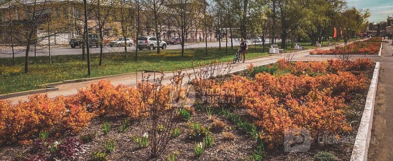 Тимур Бойков, Vologda-poisk.ru