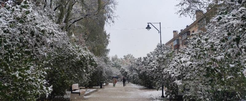 Фото Елены Литвиновой/Вологда-Поиск