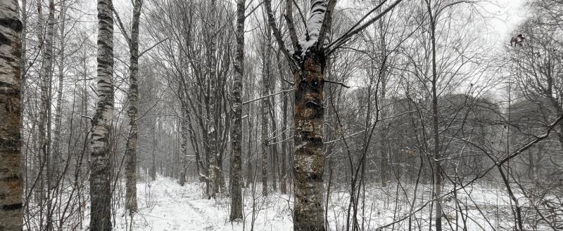 Череповец-поиск, Тимур Бойков