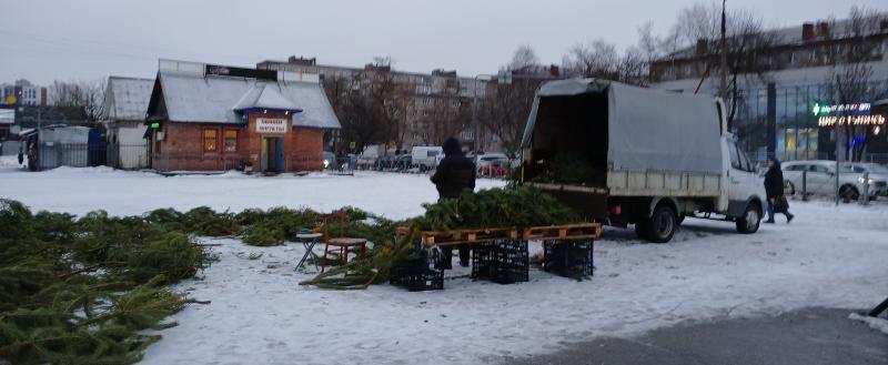 Фото: Никита Трушков / Вологда-Поиск