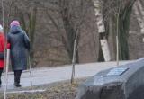 Череповец-поиск, Тимур Бойков
