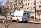 Фото: "Череповец-Поиск" Фото: "Череповец-Поиск"