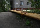Фото пресс-службы мэрии Череповца