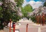 Фото: "Череповец-Поиск" Фото: "Череповец-Поиск"