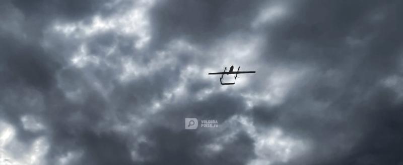 Фото: 