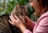 Муж теперь ходит с фингалом после того, как пнул мою беременную кошку