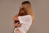 Муж спрятал нашего кота в шкафу и довел меня до слез