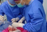 Автор: He et al., Nature Medicine Источник: www.livescience.com