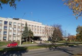 Эксперты назвали опасные для дворов деревья: тополь и шелковица под запретом