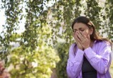 Свекровь выкопала мои клематисы и посадила на их месте огурцы