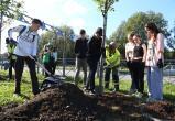 Студенты и специалисты высадили на Южном шоссе аллею будущего