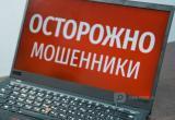Фото Тимура Бойкова/"Вологда-Поиск"