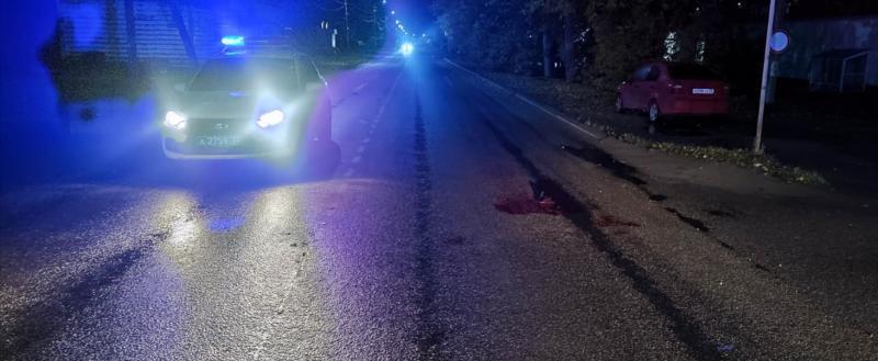 Фото: УМВД России по Вологодской области