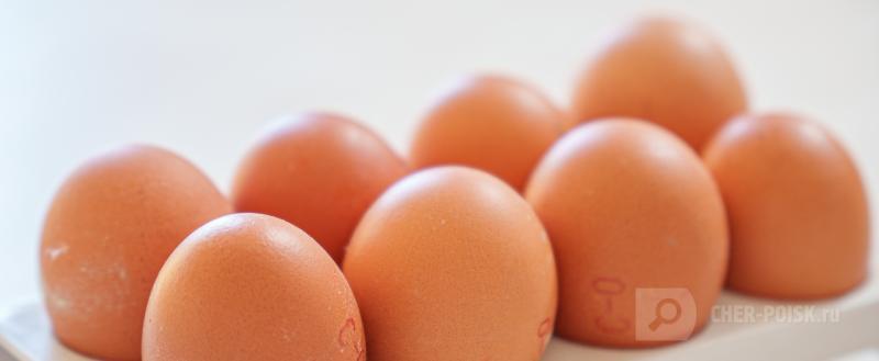 фото: Вологда-поиск