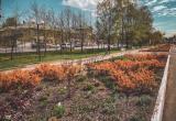 фото: Череповец-поиск фото: Череповец-поиск