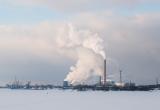 Фото: "Череповец-Поиск" Фото: "Череповец-Поиск"