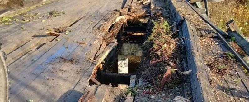 Источник фото: официальная страница Ларисы Богдановой