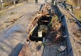 Источник фото: официальная страница Ларисы Богдановой Источник фото: официальная страница Ларисы Богдановой